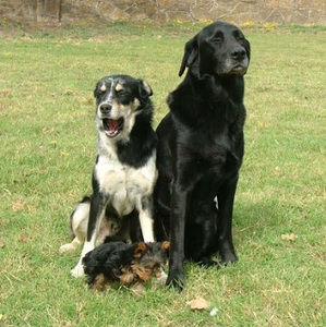 Meet your Posher, Madison